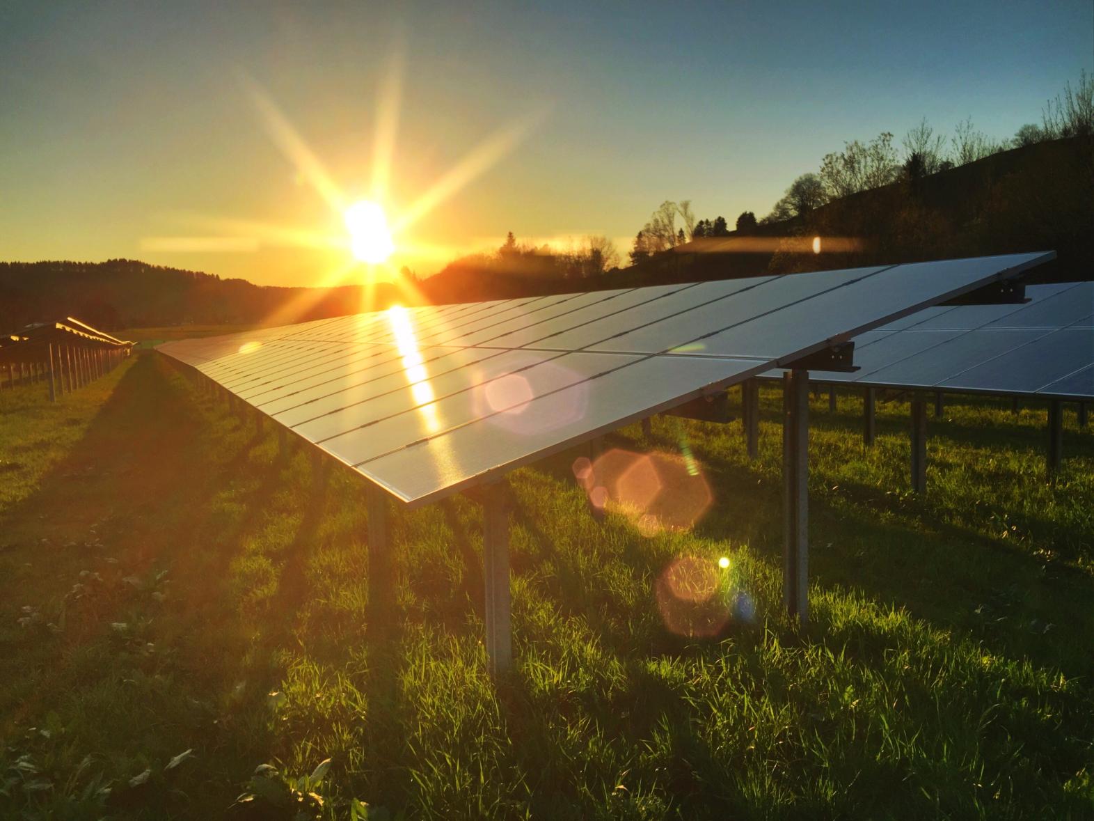 Photovoltaic panels and a setting sun