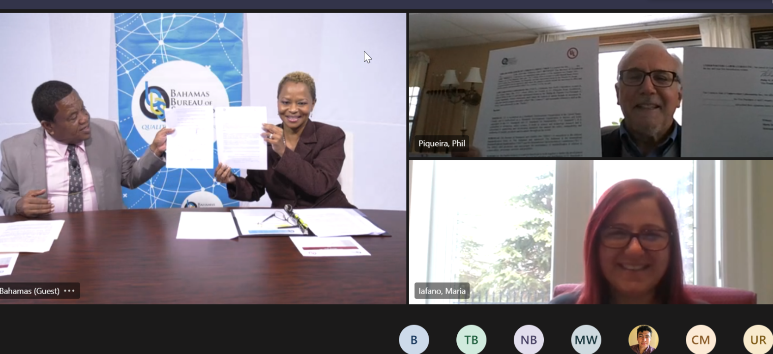 Participants in a virtual meeting