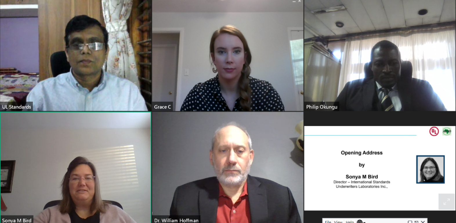 Participants in a virtual meeting