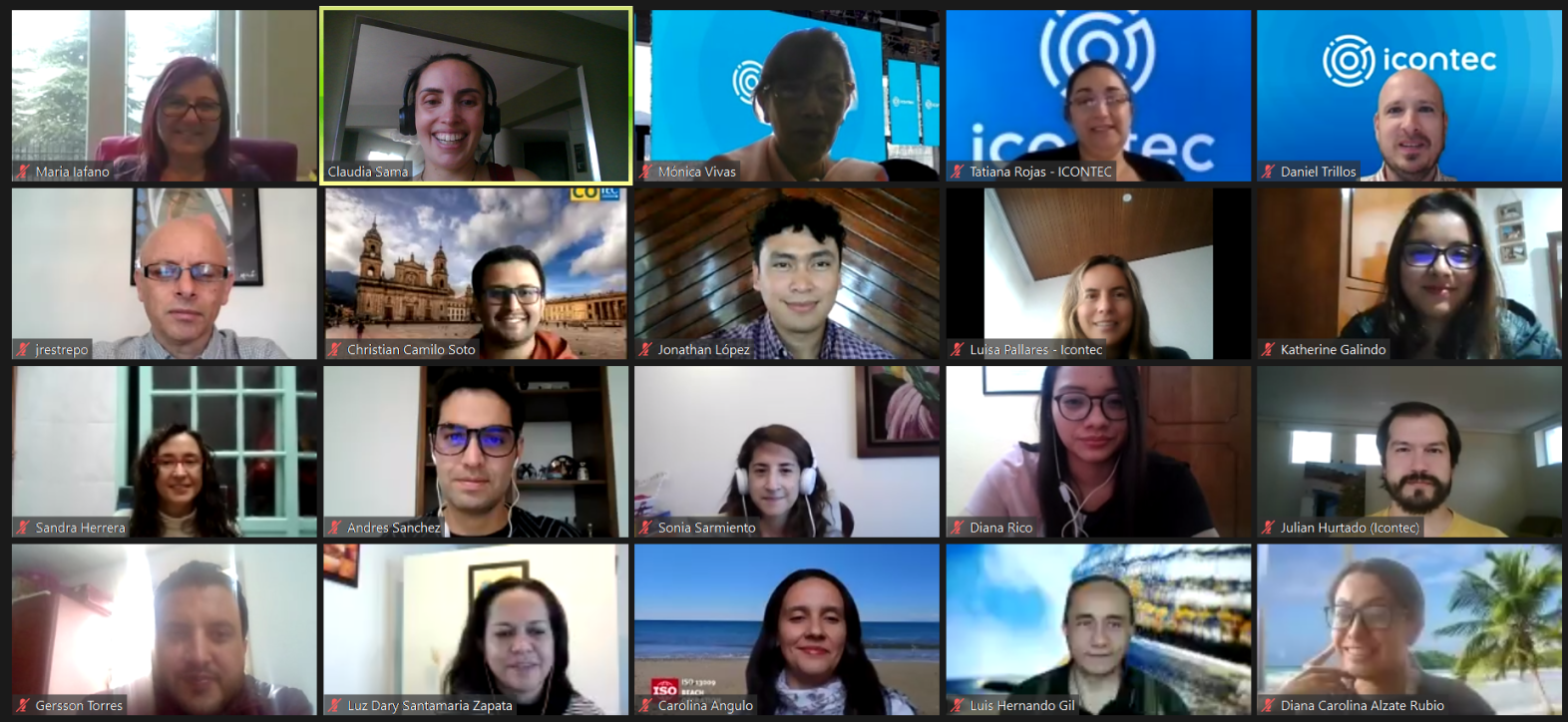 Participants in the UL Standards & Engagement joint virtual webinar with L'Instituto Colombiano de Normas Tecnicas y Certificacion