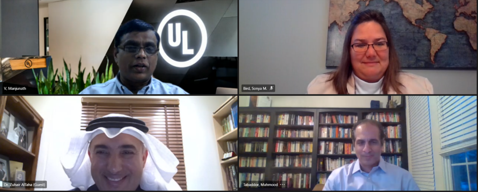 Participants in a virtual meeting