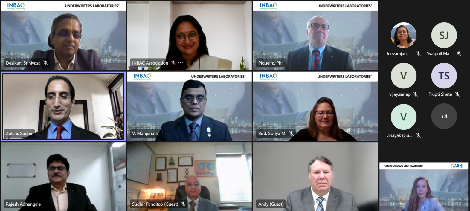 Participants in a virtual meeting