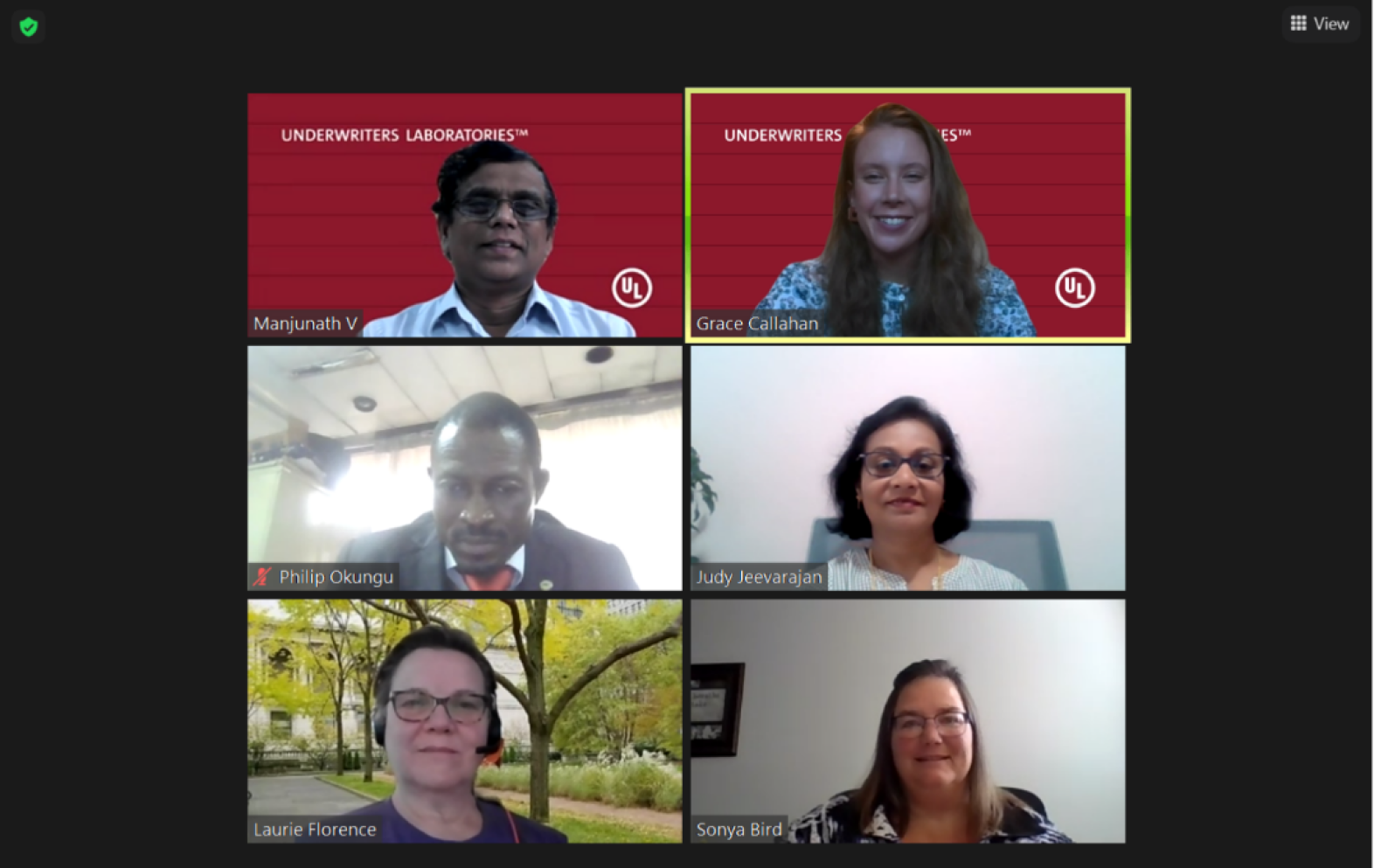 Participants in a virtual meeting