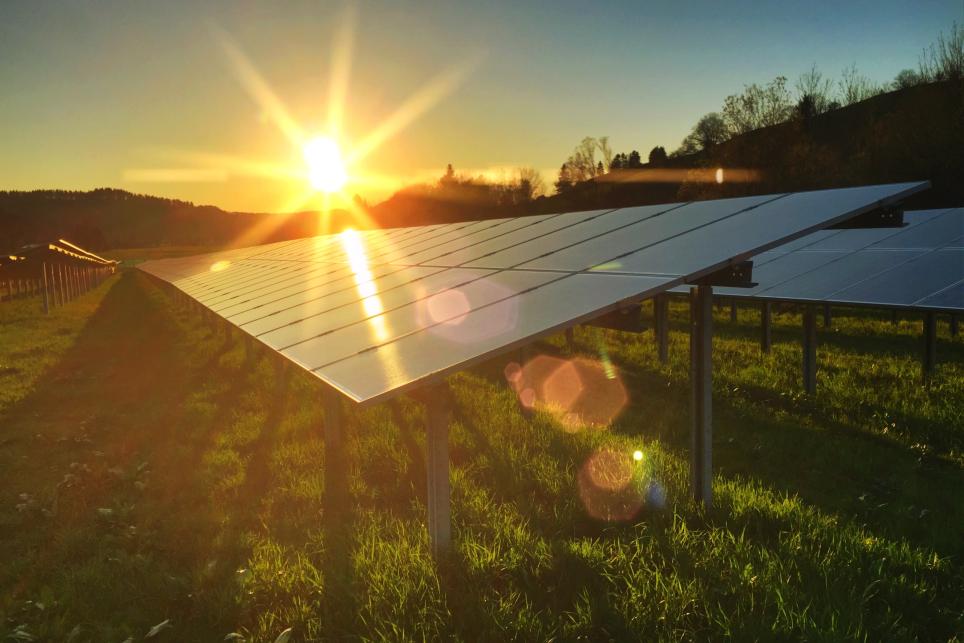 Photovoltaic panels and a setting sun