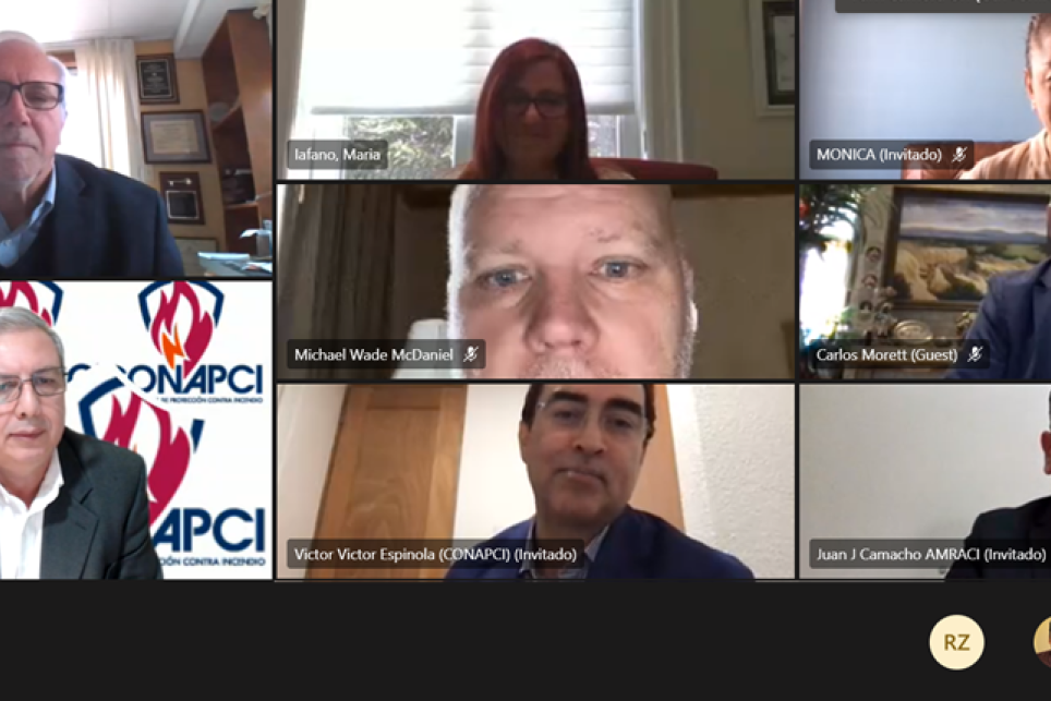 Participants in a virtual meeting