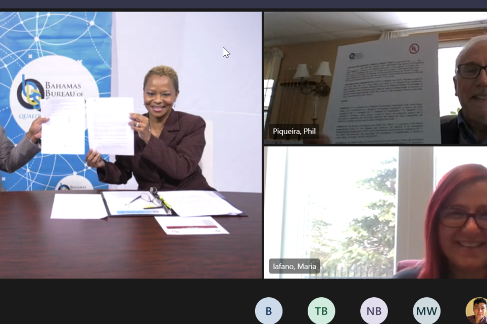 Participants in a virtual meeting