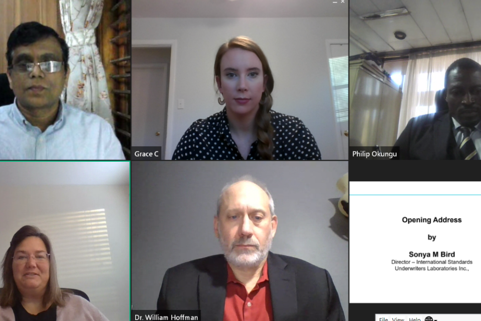 Participants in a virtual meeting