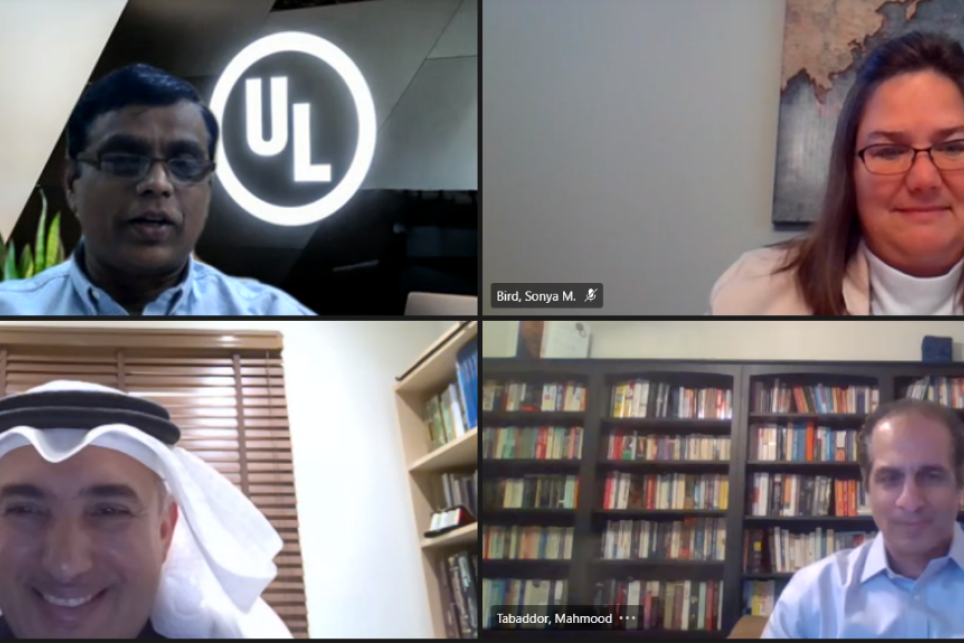 Participants in a virtual meeting