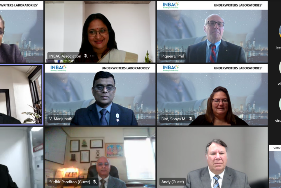 Participants in a virtual meeting