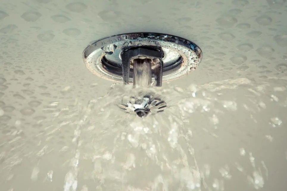 A close-up of a ceiling-mounted fire sprinkler spraying water, with droplets visible on the surrounding surface.