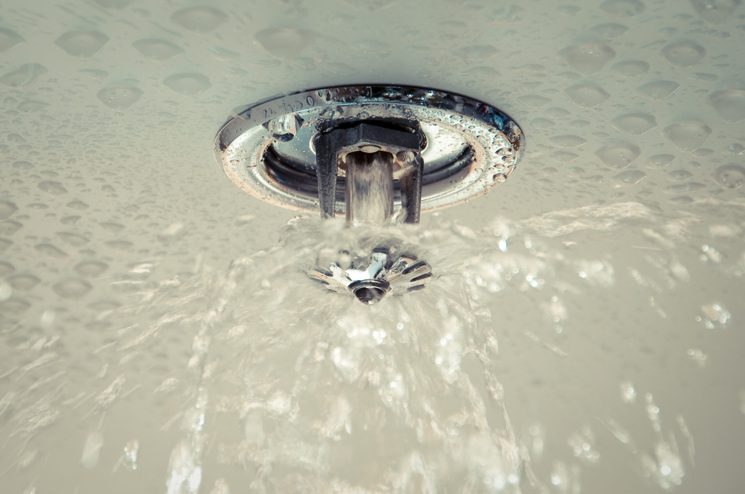 A ceiling-mounted fire sprinkler is spraying water, with droplets visible on the surface around it, indicating it has been activated.