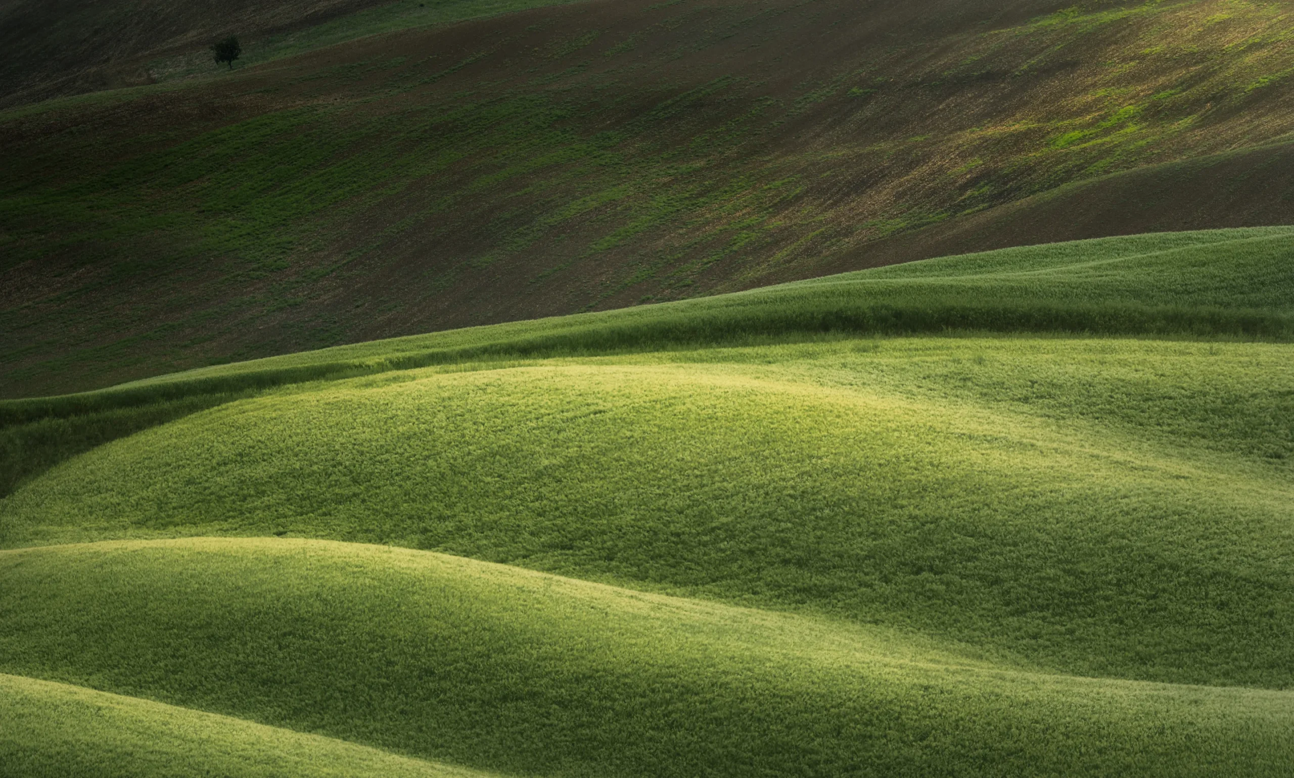Gently rolling green hills are softly illuminated by sunlight, creating a serene and peaceful landscape with smooth, undulating shapes and subtle shadows.