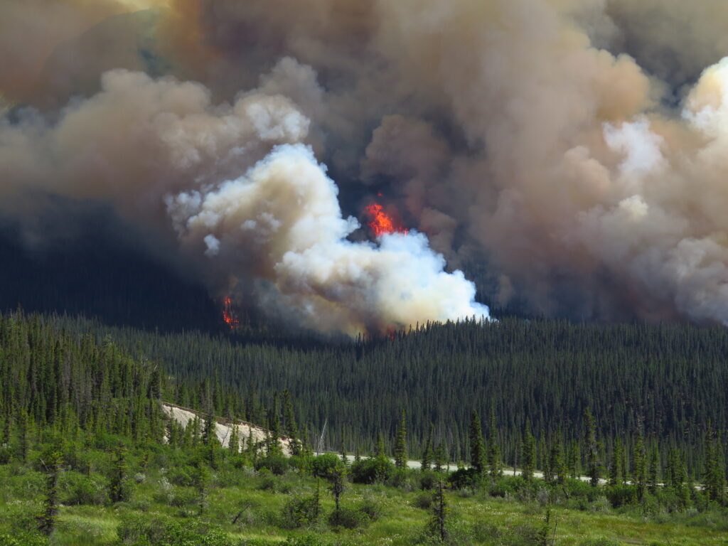 Thick smoke and bright flames rise from a wildfire burning through a dense forest, with a green clearing and trees in the foreground under a hazy sky.