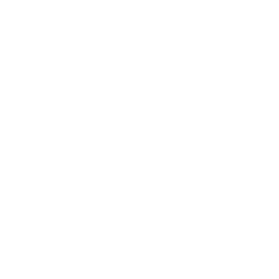 Simple white icon of a person wearing a dress, typically used to represent a woman or female, on a light gray background.