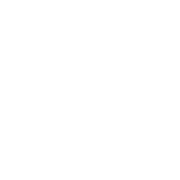 White outline of an airplane with three vertical lines and a lightning bolt symbol in the center, set against a light gray background.