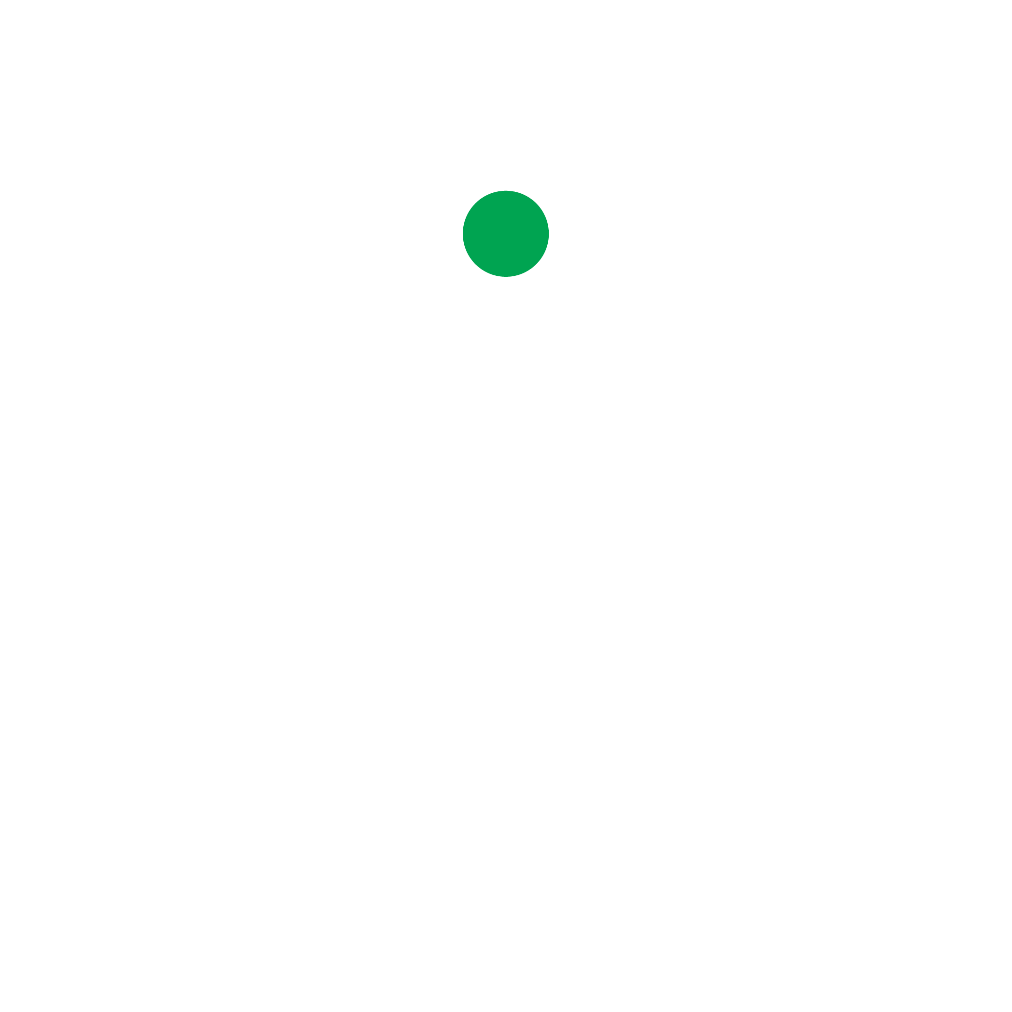 A simple gray camera icon with a green dot above the lens is displayed on a light gray background.