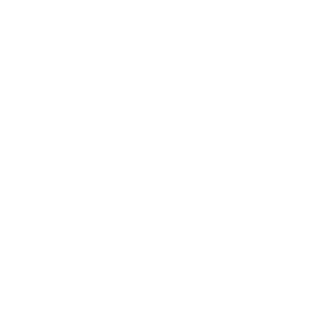 White outline illustration of a bicycle with a lightning bolt symbol on the rear wheel, indicating it is an electric bike, on a light gray background.