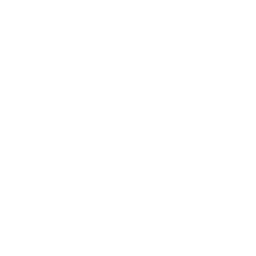 Outline of a car with a lightning bolt symbol and a plug underneath, representing an electric vehicle or electric car charging.